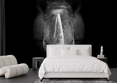 Rhinoceros , animal mammal Rhino , black white wildlife  Wall mural