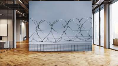 Barbed wire fence, protection against illegal immigrants Wall mural