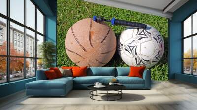 Ball air pump 2 Wall mural