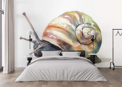 Snail in watercolor style Wall mural