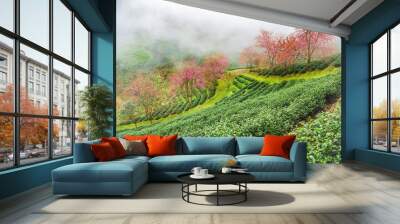 Beautiful cherry flowers bloom in tea hill in Sapa, Vietnam Wall mural