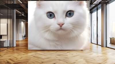 White Cat Animal Realistic Photo Illustration Art Wall mural