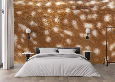 Deer fur closeup view Wall mural