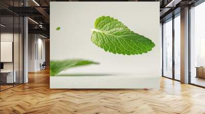 A single leaf on a white background Wall mural