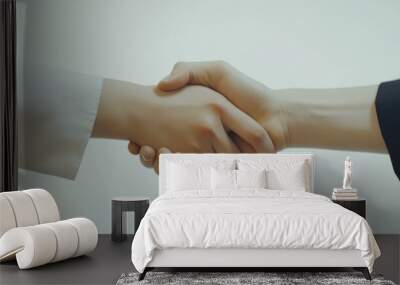 Business handshake between two individuals Wall mural