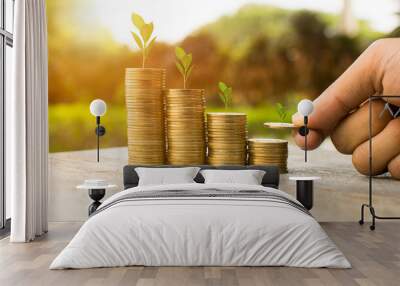 money coin for growing your business.. Wall mural