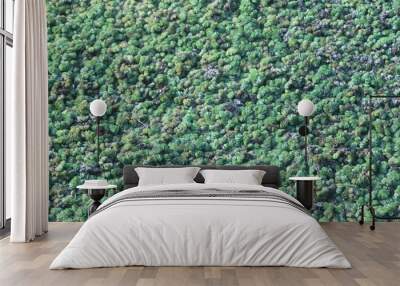 Marshland Wall mural