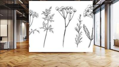 An illustration of Chervil in black and white Wall mural