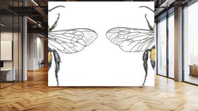 An isolated bumblebee is drawn and engraved graphically. Wall mural