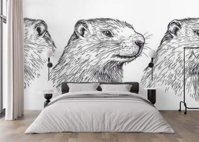 An isolated marmot illustration with a groundhog ink sketch on a woodchuck silhouette background is shown in this vintage engraving. The engraving is black and white. Wall mural