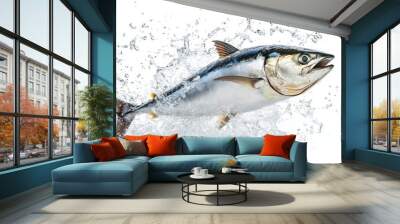 An isolated tuna fish jumping out of the water. Stock photo Wall mural