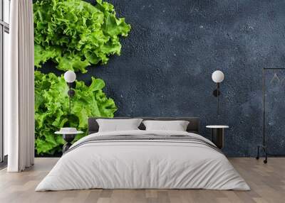 An oak leaf salad on a dark background with space for copy Wall mural