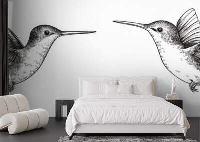 Bird background colibri tropical silhouette art of a hummingbird on a tropical landscape background in black and white. Wall mural