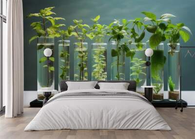 Genetically modified plants. Plant seedlings growing inside of test tubes Wall mural