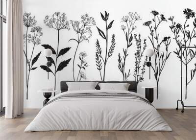 Graphite and black and white illustration of Chervil flowers Wall mural