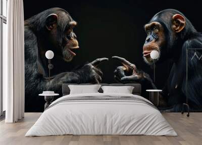 Hand gestures are being used by two chimpanzees to communicate with each other Wall mural