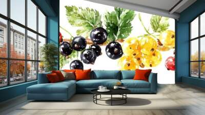 Painter's rendition of black, red, and white currant berries. Wall mural