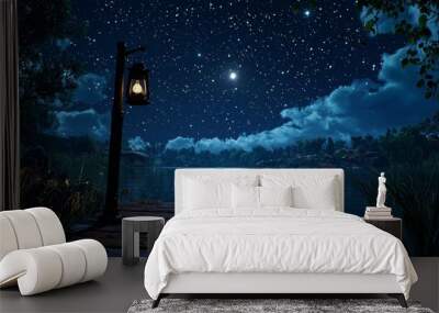 The lantern illuminates a tranquil lake surrounded by tall trees under a starry night sky in the wilderness Wall mural