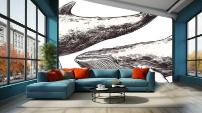 Wild cachalot background line giant dolphin artwork created by engraving. Isolated blue whale set illustration. Wall mural