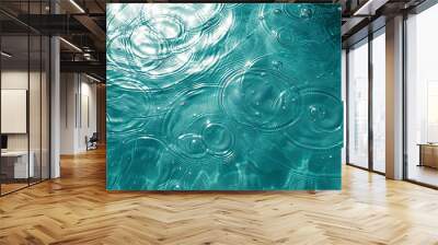 Water surface with rings.  Wall mural