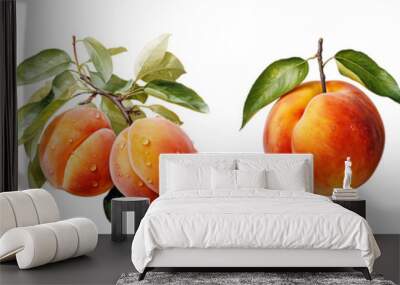 Watercolor apricot set. Wall mural