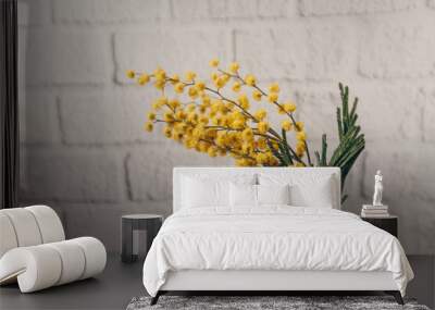 sprig of yellow mimosa on a white blurred brick wall background Wall mural