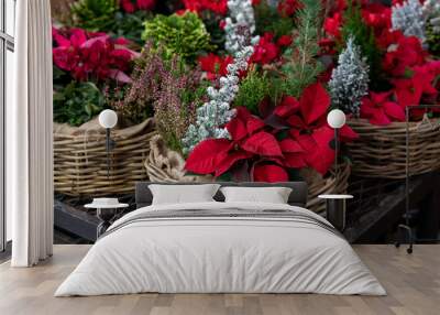 Gift baskets full of Christmas spirit seasonal flowers and plants in a garden shop. Wall mural