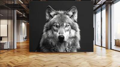 Front view of Wolf isolated on black background. Black and white portrait of wolf Wall mural