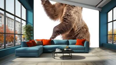 Funny big brown bear standing on his hind legs isolated on white background, a bear is dancing, doing lecture, introducing something Wall mural