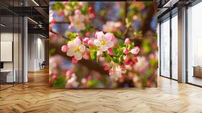 Apple blossom in sun rays. Wall mural