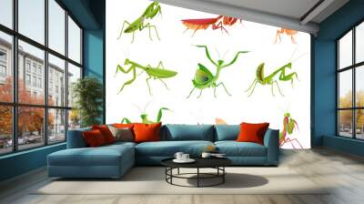 Praying mantis in various poses and colors collection vector flat illustration large predator insect Wall mural