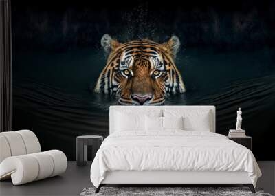  Tiger in water. wildlife animal background.  Digital art Wall mural