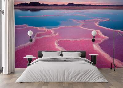 Aerial view of Pink lake, incredible natural landscape. The salt lake turned pink. Vivid red Salt deposits on the shores of the beautiful pink lake. 
 Wall mural