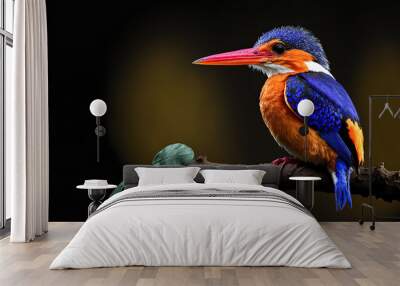 Beautiful bird Black backed Kingfisher or Oriental Dwarf Kingfisher perched on branch. digital art Wall mural