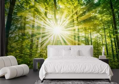 Beautiful forest with bright sun shining through the trees. Scenic forest of trees framed by leaves, with the sun casting its warm rays through the foliage at sunset Wall mural