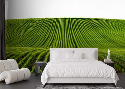 green field isolated against a white transparent background, png. Green field, agricultural landscape
 Wall mural