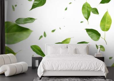 Green Floating Leaves Flying Leaves Green Leaf Dancing isolated on transparent background. Flying whirl green leaves in the air, Healthy products by organic natural ingredients concept Wall mural