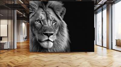 Lion king , Portrait on black background, Wildlife animal
 Wall mural