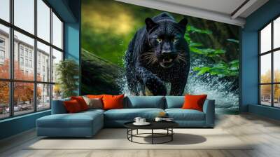 Majestic Panther runs on water in jungle. Dangerous animal.  Wall mural