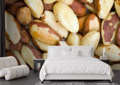 brazil nuts background Wall mural