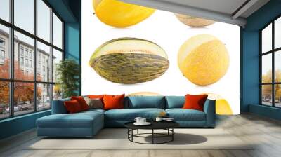 collection of 6 different melon images Wall mural