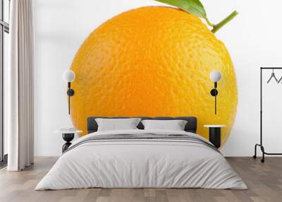 ripe orange Wall mural