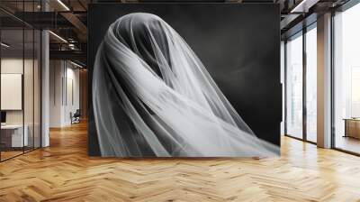  A black-and-white image of a woman wearing a veil The veil billows in the wind above her head Wall mural