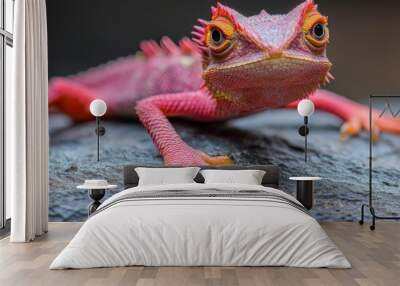  A close-up of a lizard on a rock with a blurred background behind it Wall mural