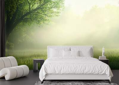  A foggy field with trees and grass in foreground, sun shining through trees in background Wall mural