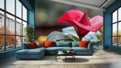  A red flower, its petals dotted with water droplets, against a lush green background of leaves Wall mural