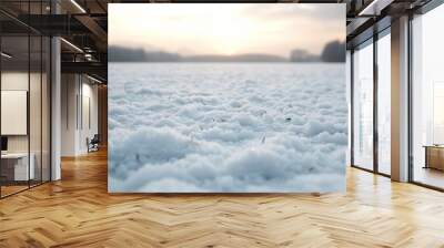  A snow-covered field with trees in the distance and the sun atop, centrally positioned Wall mural