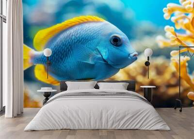  A tight shot of a blue fish against a backdrop of various corals Other corals populate the surroundings Wall mural