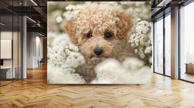  A tight shot of a dog in a flower-filled meadow with its face softly blurred Wall mural