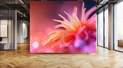  A tight shot of a pink bloom sporting water beads on its petals against a softly blurred blue backdrop Wall mural